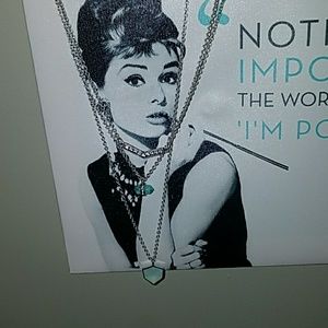 Chole + Isabel detachable Necklace